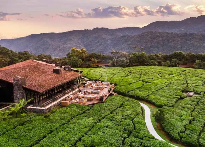 One & Only Nyungwe House